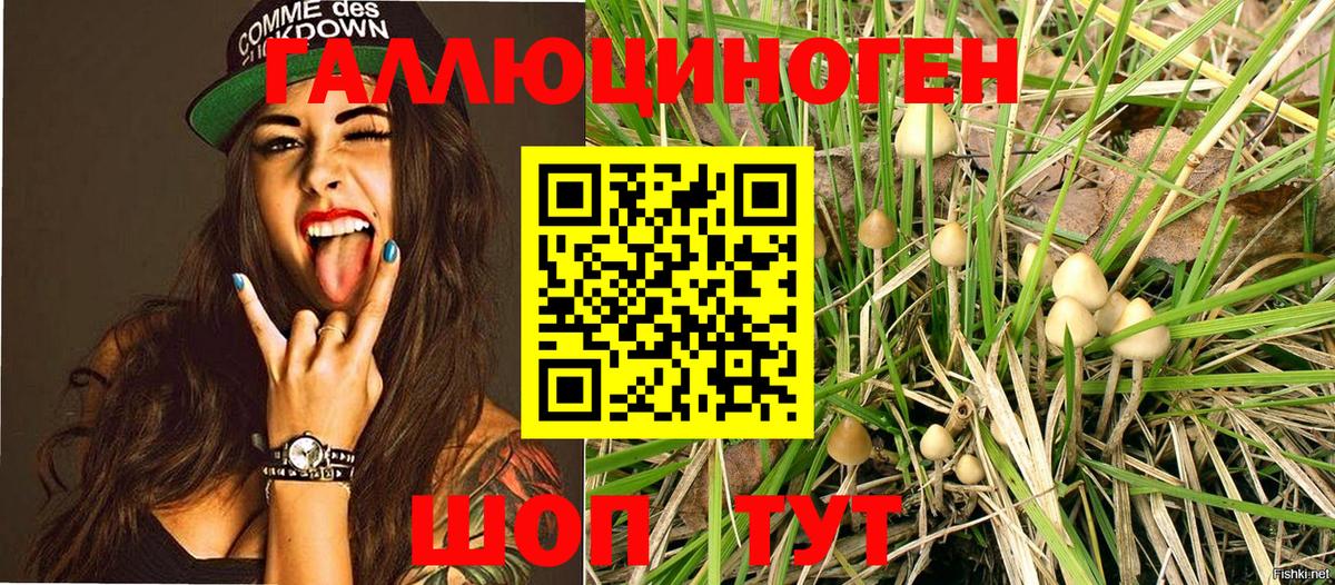 Псилоцибиновые грибы MAGIC MUSHROOMS  Вход с VPN  Новосибирск  Псилоцибиновые грибы ЛСД 